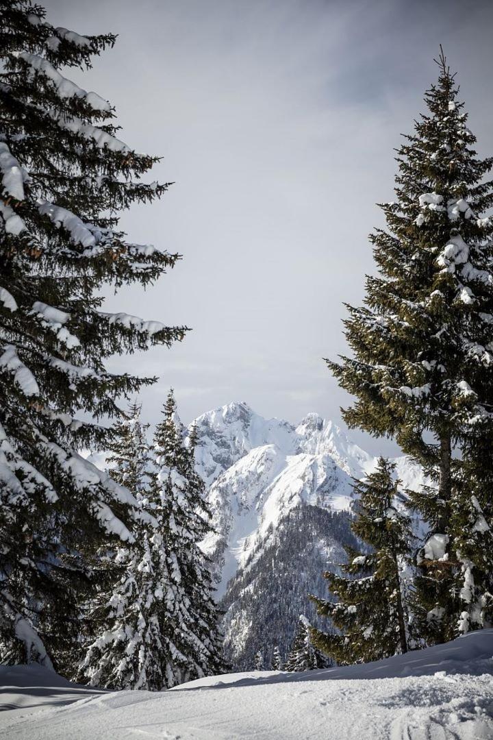 Zederberg Appartements Sankt Johann im Pongau Eksteriør bilde