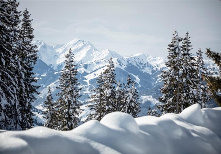 Zederberg Appartements Sankt Johann im Pongau Eksteriør bilde
